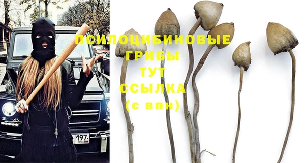 мдпв Балабаново