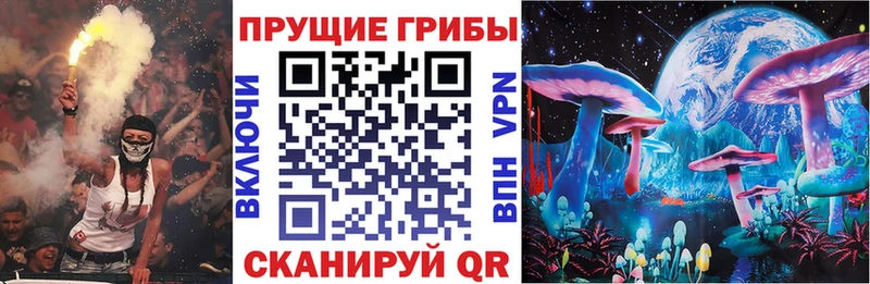 Псилоцибиновые грибы мицелий  Знаменск 